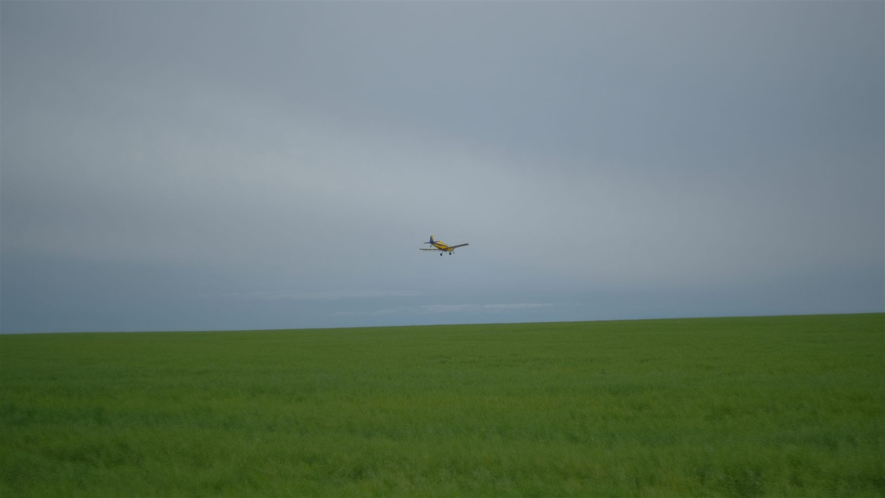 A yellow crop duster flying low over a green field