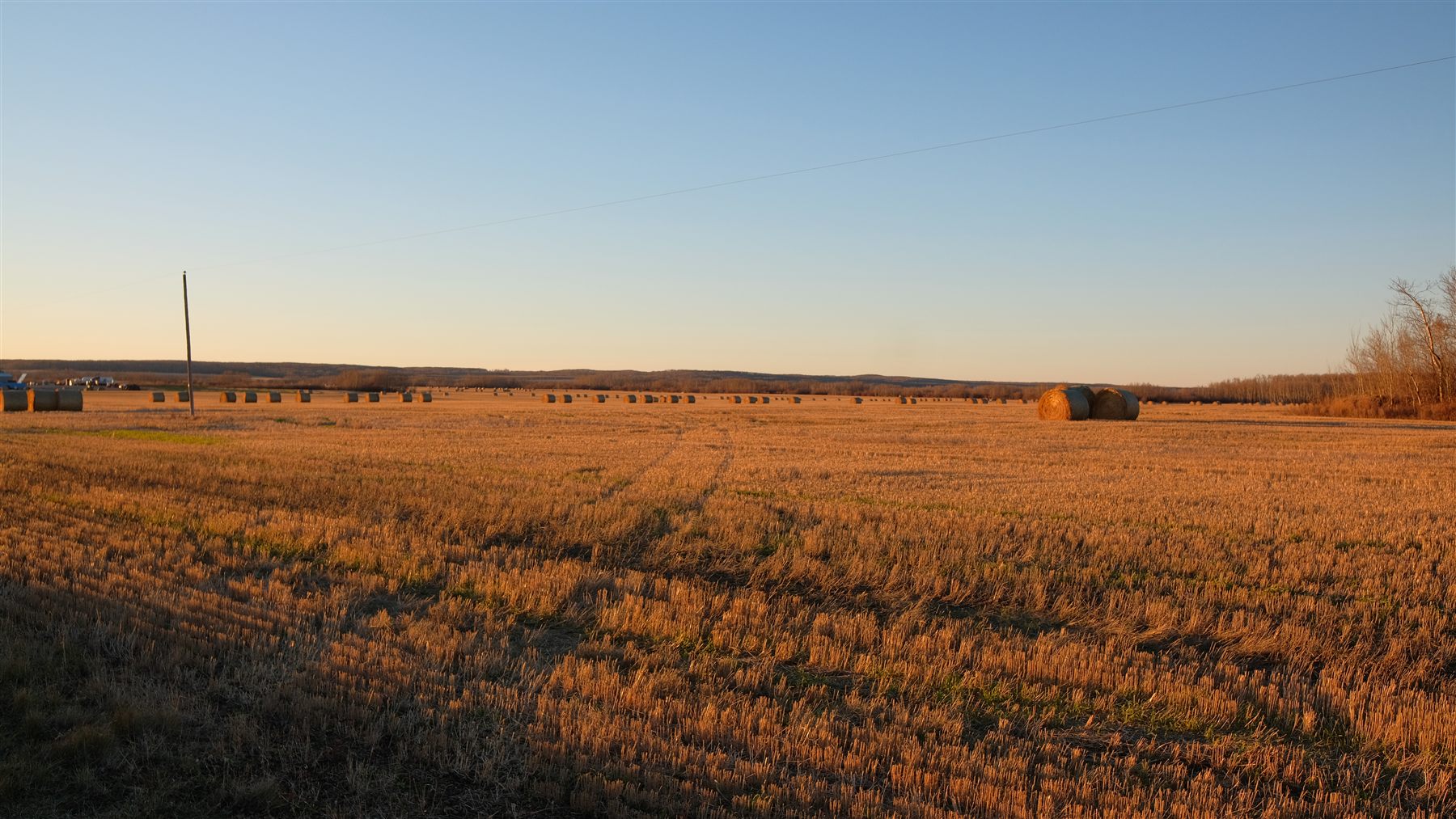 A harvested prairie field in low evening light