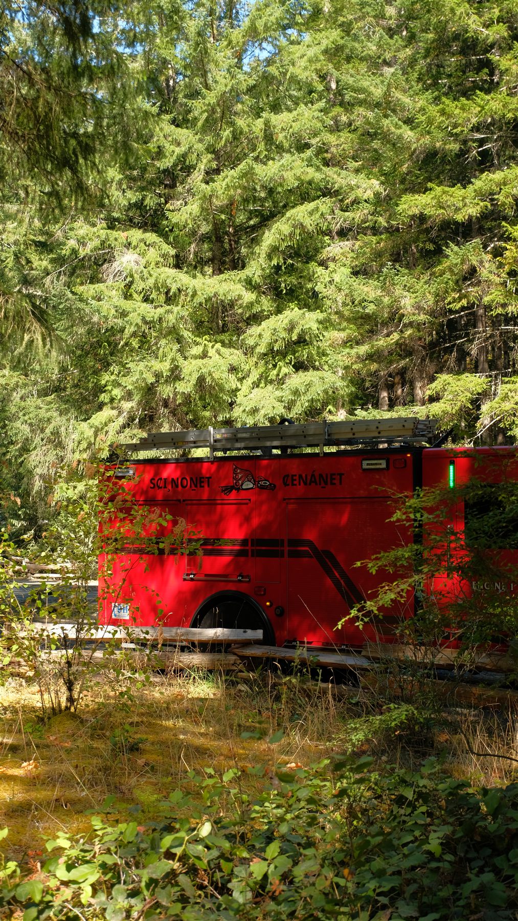 A red vehicle among trees