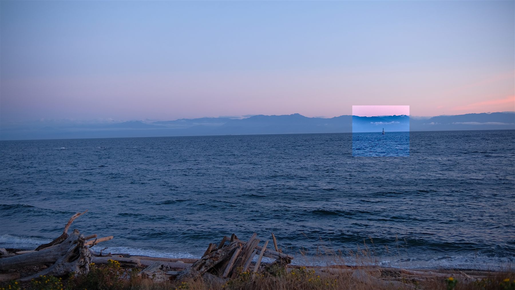 Waves rolling onto a driftwood beach under a pink sky