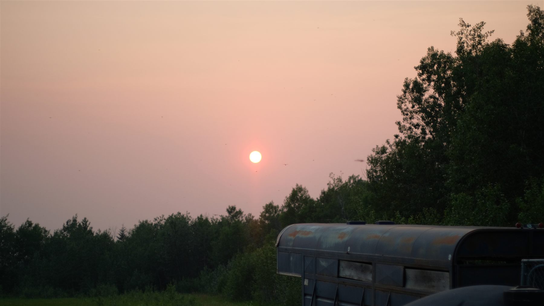 A red sun over a treeline beside an old bus