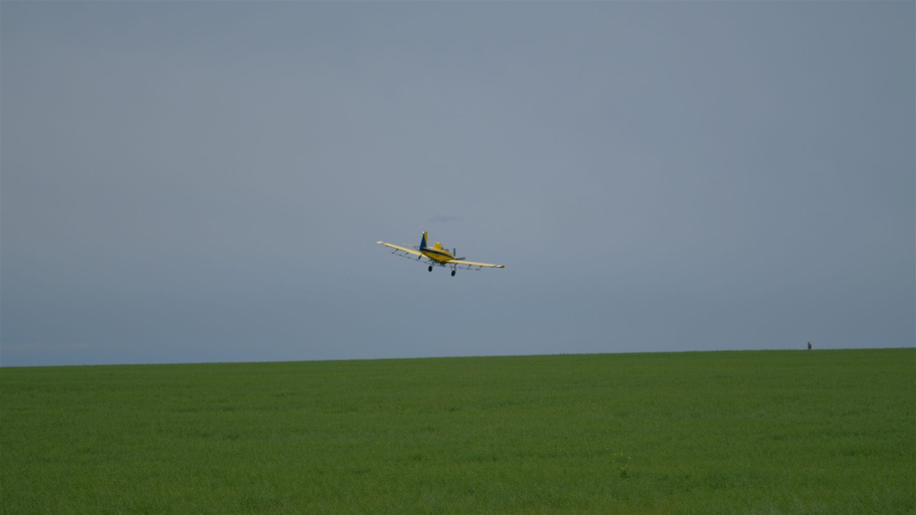 A yellow crop duster over a green field