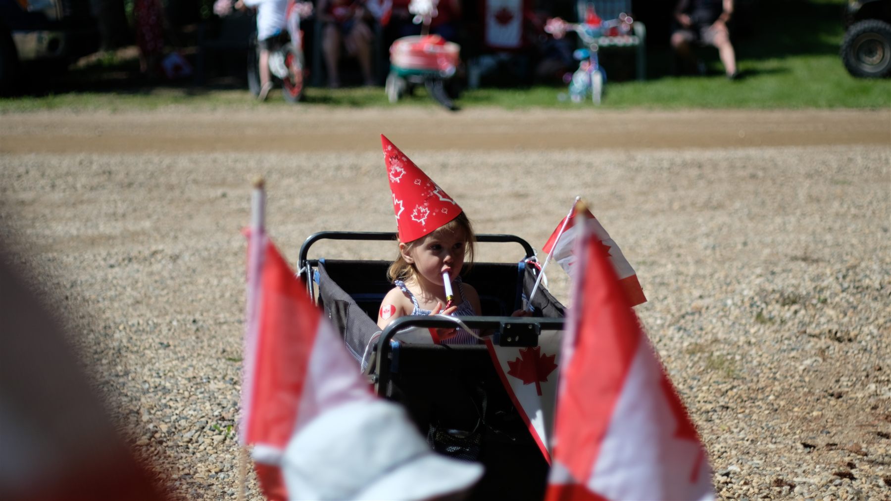 A child in a wagon with Canadian flags and a party hat