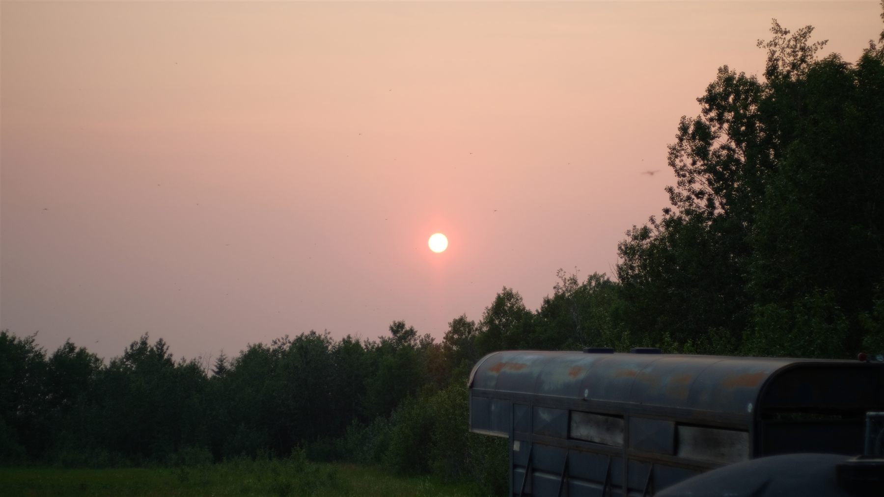 Smoky red sun.